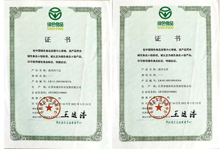 铁算算盘4887查询