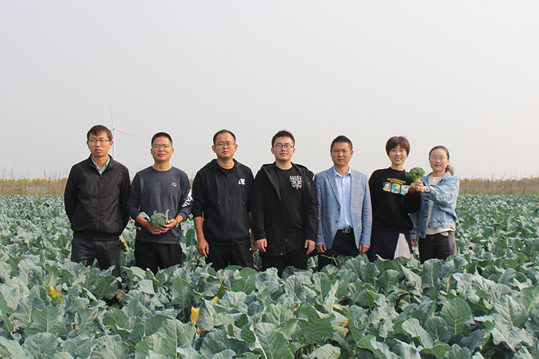铁算算盘4887查询