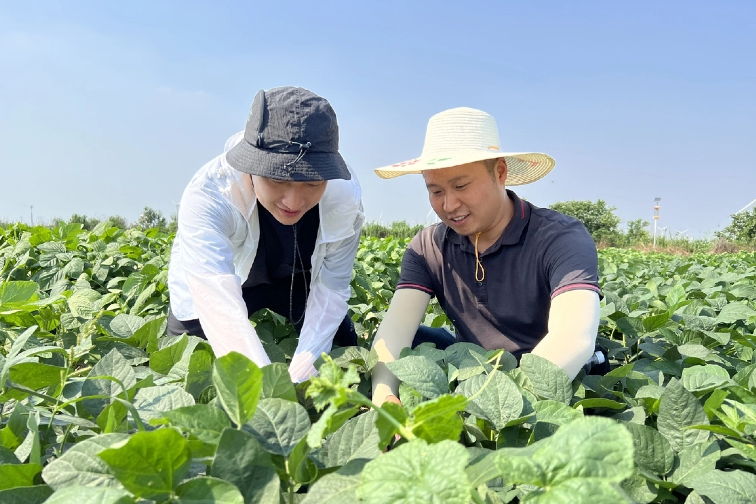 铁算算盘4887查询