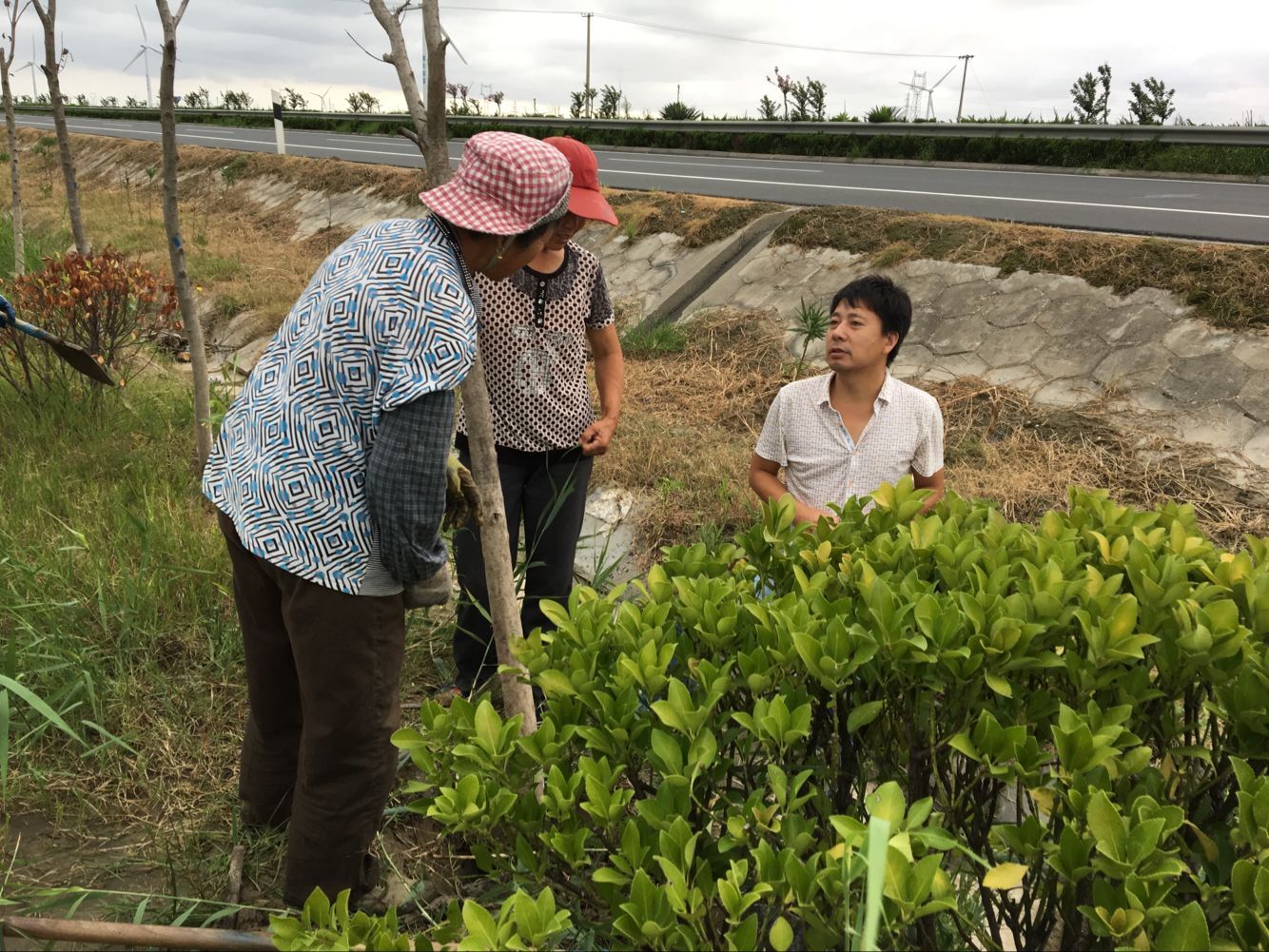 铁算算盘4887查询